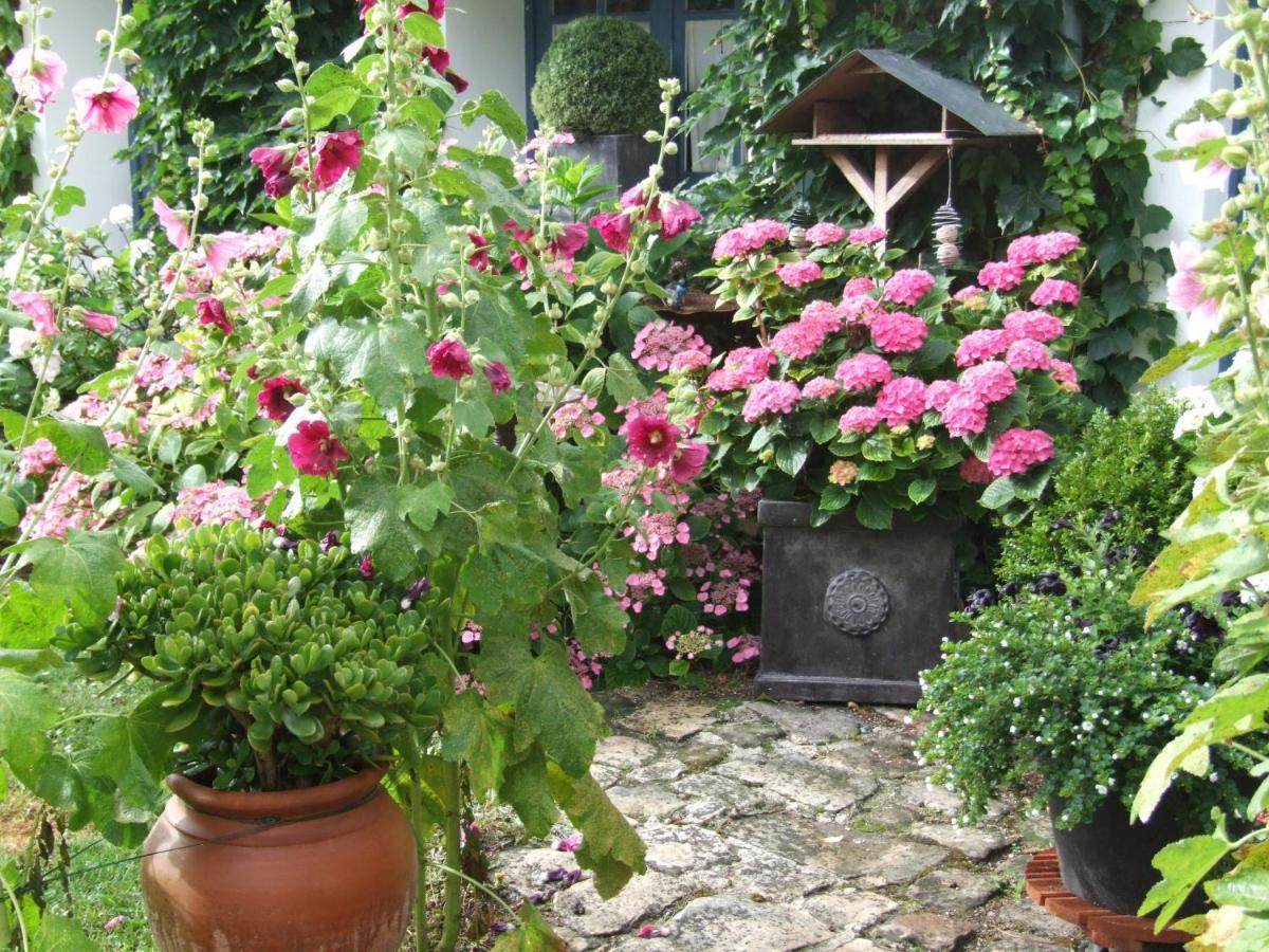Bed and Breakfast Les Glycines Ури Экстерьер фото