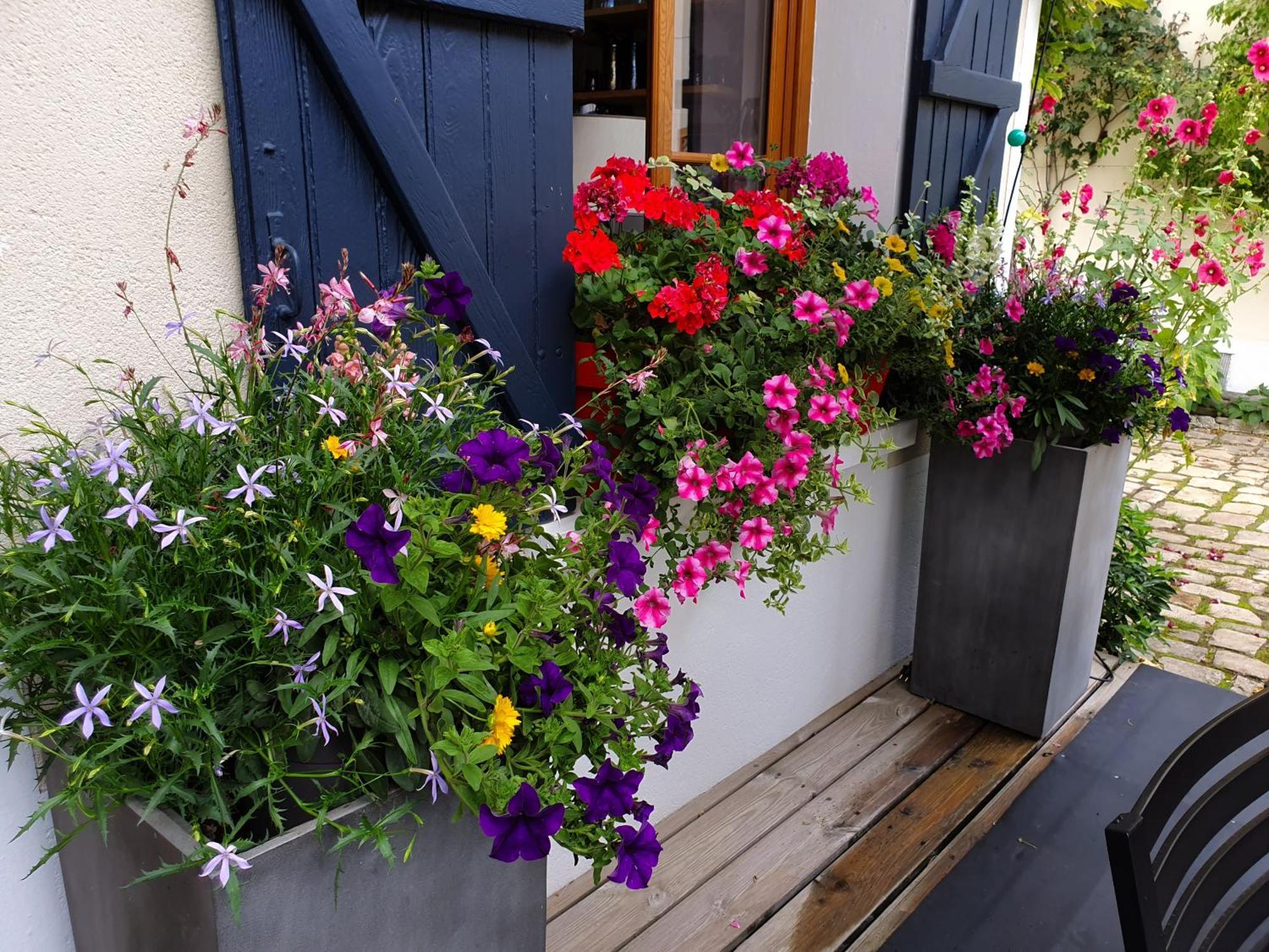 Bed and Breakfast Les Glycines Ури Экстерьер фото